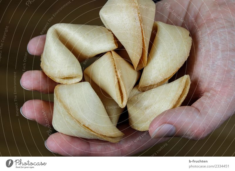 a handful of luck Candy Hand Fingers Select To hold on Happy Expectation Mysterious Fortune cookie Surprise Studio shot Close-up Artificial light Downward