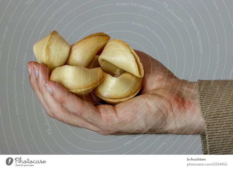 A handful of luck II Candy Hand Fingers To hold on Happy To enjoy Belief Religion and faith Fortune cookie Man Studio shot Close-up Forward