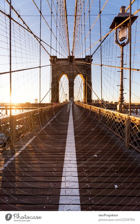 In the morning on the Brooklybridge Vacation & Travel Tourism Trip Far-off places Freedom Sightseeing City trip Port City Bridge Tourist Attraction Landmark