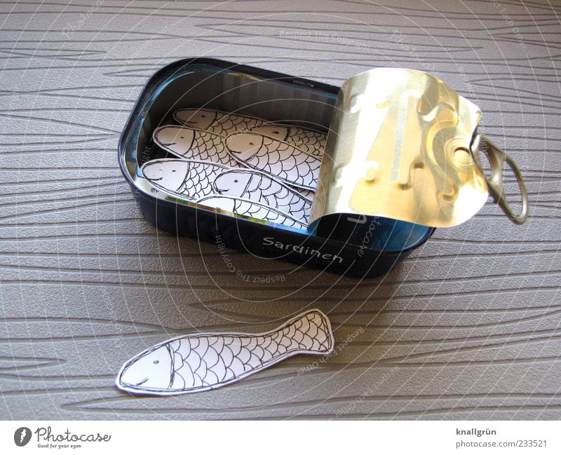 sardines Fish Nutrition Animal Scales Sardine Group of animals Flock Tin Tin of food Lie Gray Silver pull-off closure Metal Colour photo Studio shot Deserted