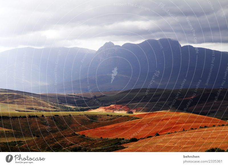 farmland Vacation & Travel Tourism Trip Adventure Far-off places Freedom Nature Landscape Sky Clouds Field Mountain South Africa Exceptional Fantastic Beautiful