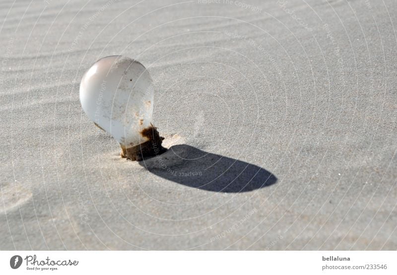 Spiekeroog | Renewable Energy Energy industry Renewable energy Nature Sunlight Summer Beautiful weather Desert Electric bulb Sand Colour photo Exterior shot