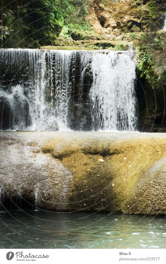 waterfall Far-off places Environment Nature Water Tree Forest Virgin forest Rock River Waterfall Gigantic Wet Colour photo Exterior shot Deserted Flow