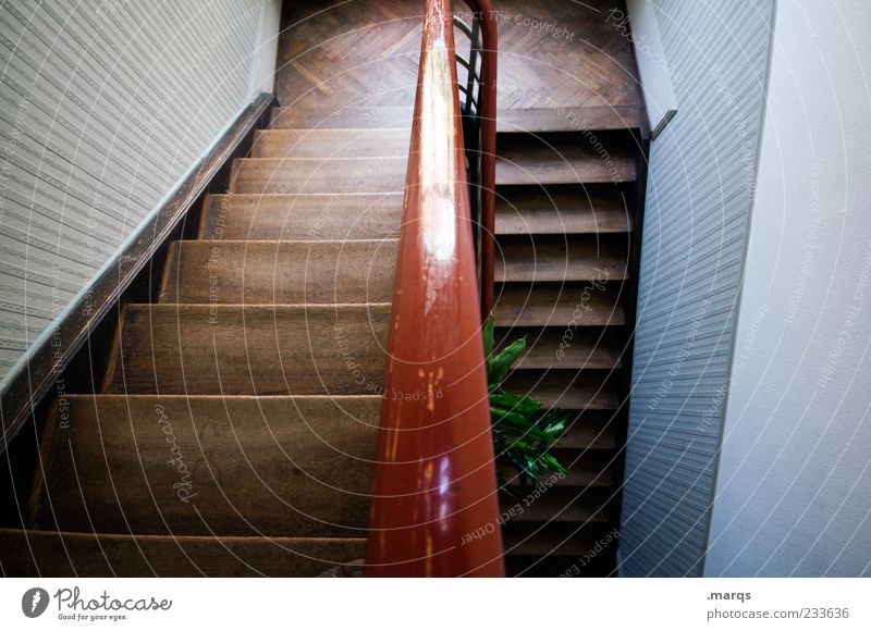 From Interior design Stairs Staircase (Hallway) Banister Old building Wood Line Perspective Go up Interior shot Deserted Dark brown Bird's-eye view