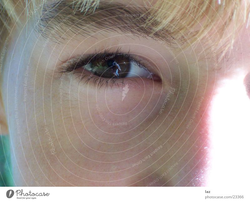 eye Brown Mirror Reflection Eyebrow Eyelash Child Eyes Macro (Extreme close-up)