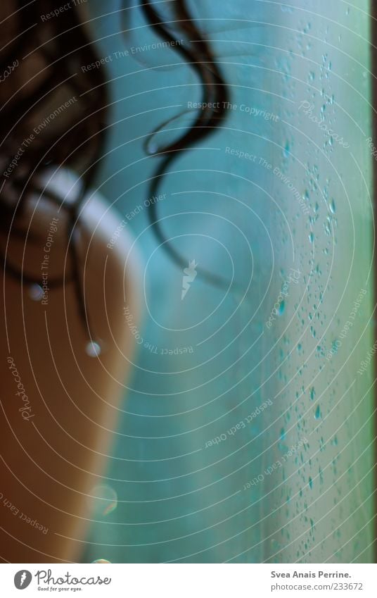 angel curls 2 Masculine 1 Human being Brunette Long-haired Curl Purity Drops of water Parts of body Colour photo Interior shot Damp Wet Take a shower