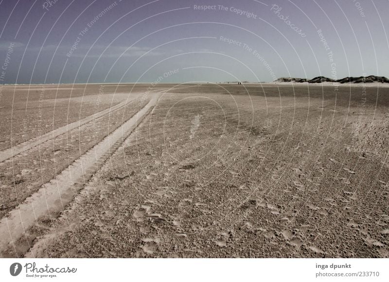 Streets of Spiekeroog Environment Nature Landscape Coast Beach Island Tracks East frisian island North Sea North Sea Islands Deserted Lanes & trails Sand