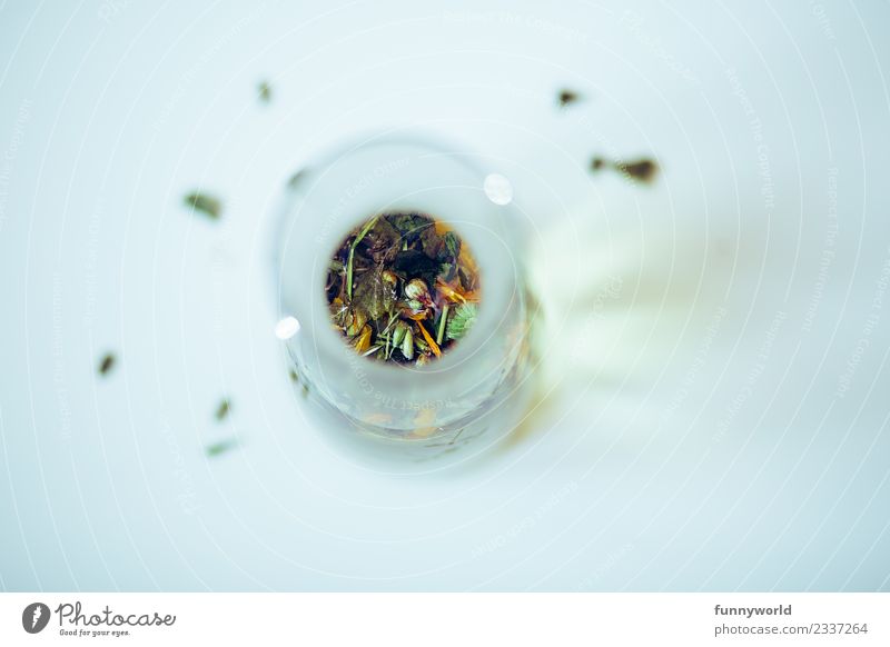 View from above in carafe with herbal tea Hot drink Tea Healthy Healthy Eating Exceptional Fragrance Round Blur Herb tea Perspective Blossom Middle Leaf