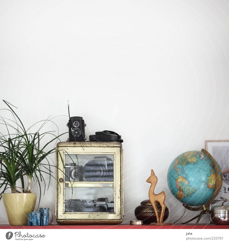 shelf units Flat (apartment) Arrange Decoration Living room Shelves Camera Plant Pot plant Kitsch Odds and ends Souvenir Collection Collector's item Globe