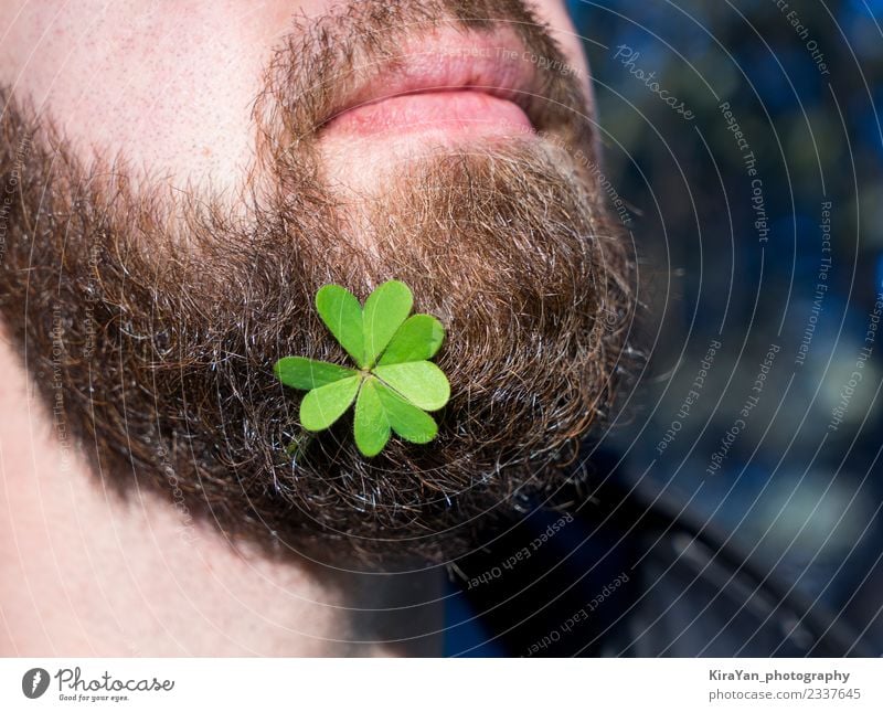 Close up bearded man face with natural green clover leaf Beer Happy Face Decoration Feasts & Celebrations Man Adults Lips Nature Plant Leaf Beard Happiness