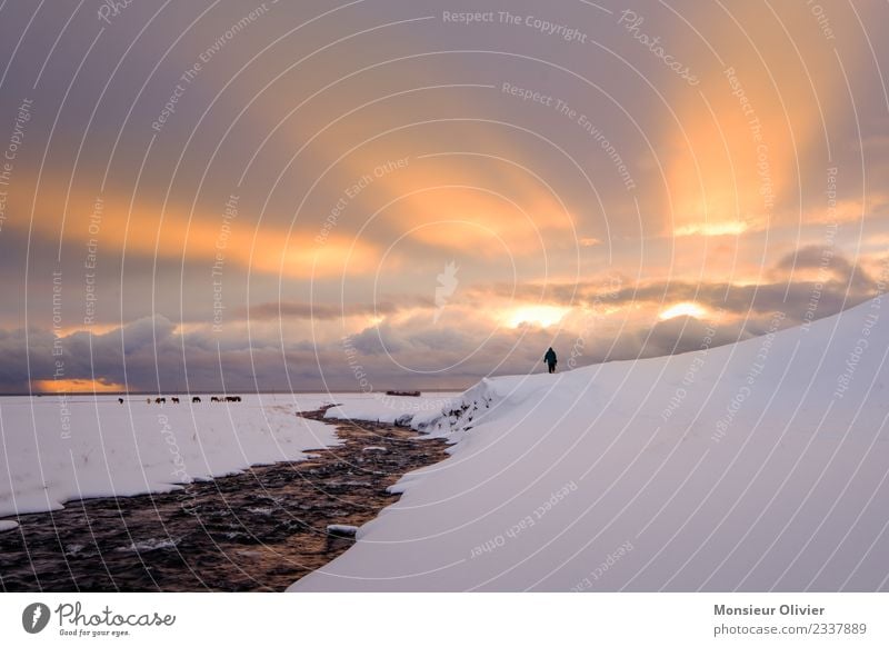 Sun breaks through clouds Clouds Sunrise Sunset Sunlight Winter Snow Vacation & Travel Sunbeam Iceland Light Human being Loneliness Colour photo Exterior shot