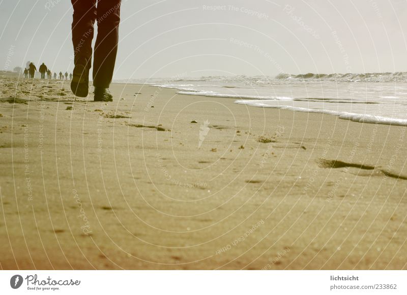 Way to the horizon Vacation & Travel Beach Ocean Island Waves Hiking Human being Adults Legs Feet Nature Landscape Elements Sand Sky Horizon Autumn North Sea