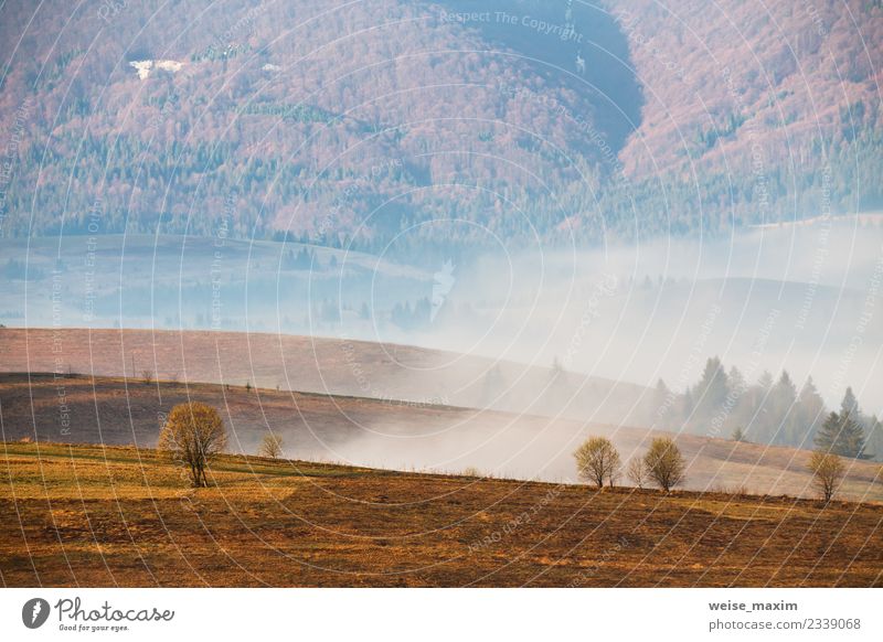 Morning fog in the valley. Spring misty hills scene Vacation & Travel Tourism Trip Adventure Far-off places Freedom Mountain Nature Landscape Clouds Sunrise