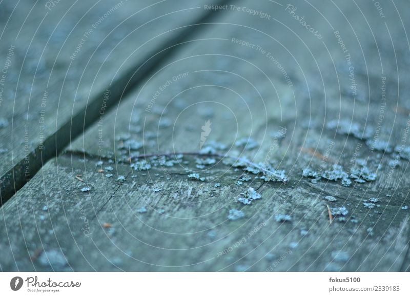 structure "Table Tabletop disk Surface weathered surface," Wood Line Stripe Blue Colour photo Exterior shot Pattern Structures and shapes Day