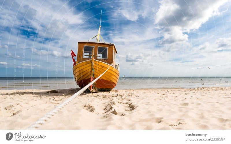 Fishing boat at the Baltic Sea beach Beach Ocean Rope Sand Clouds Watercraft Dream Anticipation Europe Fishery Sky Seagull Sandy beach sunshine Dew Usedom