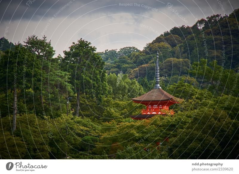 Kiyomizu-dera Exotic Harmonious Senses Meditation Far-off places Freedom Temple World heritage Nature Plant Animal Forest Kyoto Japan Asia Town