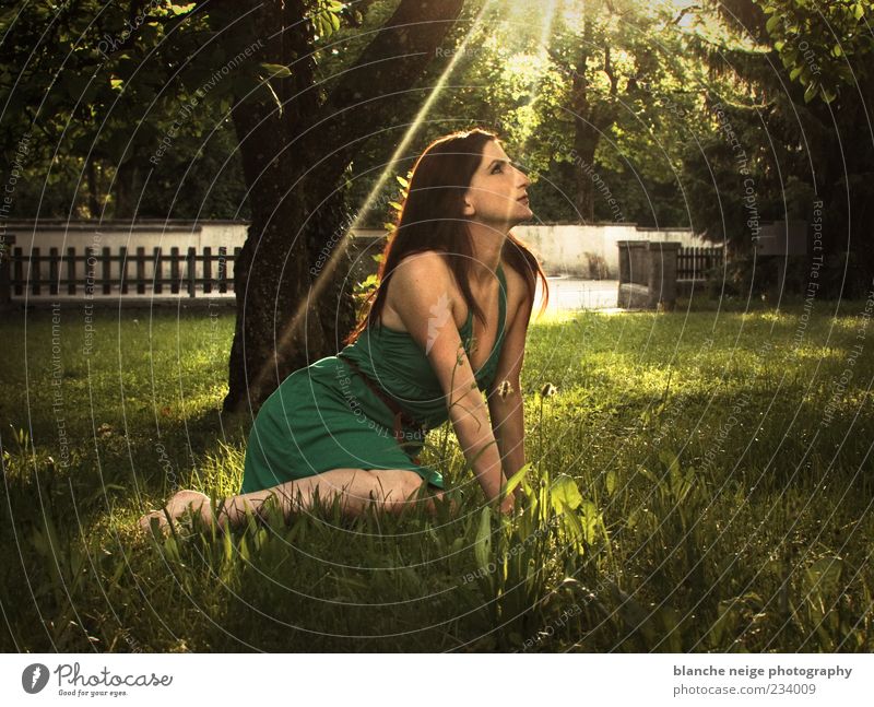 sun sun sun Relaxation Summer Feminine Young woman Youth (Young adults) Woman Adults 1 Human being 18 - 30 years Sun Sunlight Tree Grass Garden Dress Brunette