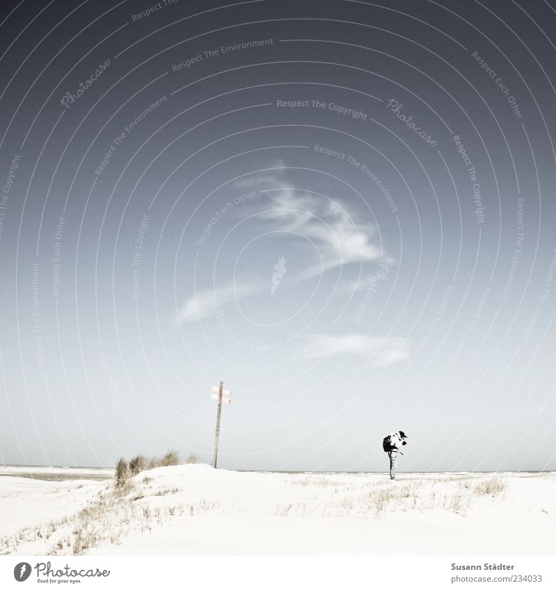 Spiekeroog the Making of Dream Take a photo Dune Marram grass North Sea Islands Wisp of cloud Far-off places Infinity Photographer Subdued colour Exterior shot