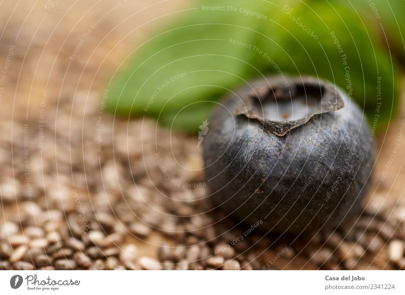 close up of blueberry on chia seeds Food Fruit Dessert Nutrition Eating Breakfast Vegetarian diet Diet Juice Summer Table Group Nature Wood Fresh Delicious