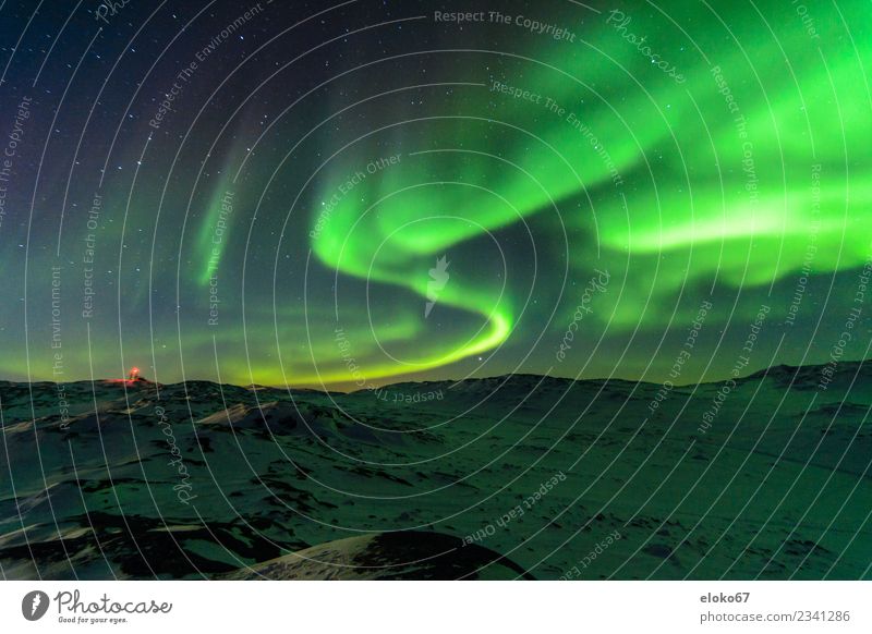 Aurora borealis in Greenland Nature Landscape Night sky Stars Winter Aurora Borealis Moody Joie de vivre (Vitality) Interest Surprise Vacation & Travel