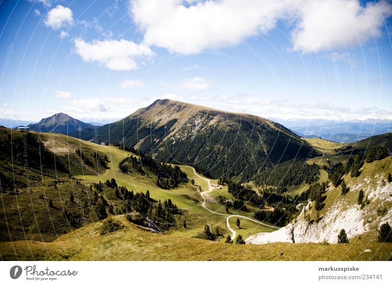 view from lattemar, south tyrol Far-off places Freedom Summer Mountain Nature Landscape Autumn Beautiful weather Forest Rock Alps Peak South Tyrol Trentino