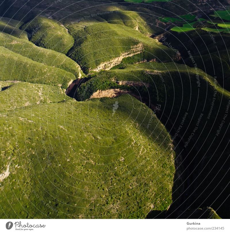 Twisted river Environment Nature Landscape Earth Beautiful weather Plant Tree Wild plant Canyon River Natural Green Colour photo Exterior shot Aerial photograph