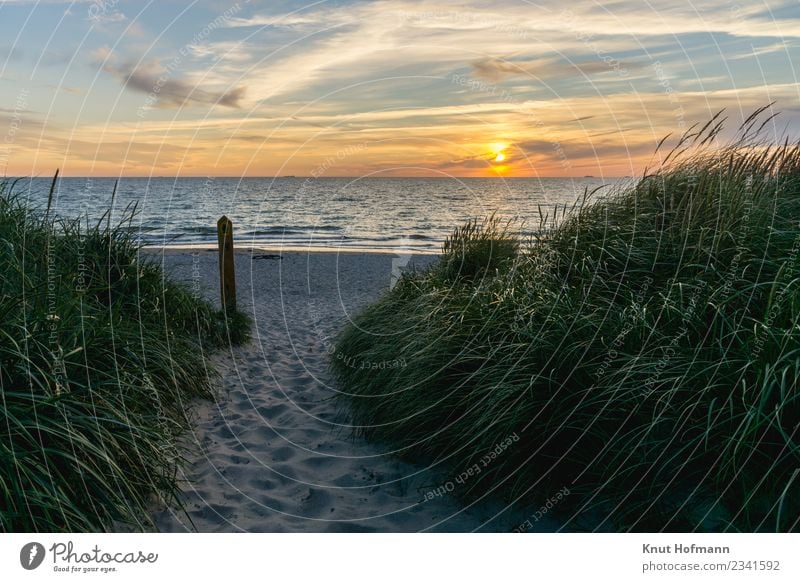 Sunset at the beach Relaxation Calm Meditation Trip Camping Summer Beach Ocean Landscape Sand Water Horizon Sunrise Beautiful weather Grass Coast