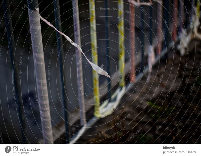 flowing with the wind Flying Multicoloured Joy Linz (Danube) Colour photo Exterior shot Detail Deserted Copy Space left Copy Space right Copy Space top