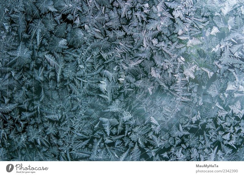 Ice patterns on winter Beautiful Winter Snow Christmas & Advent Nature Climate Weather Fresh Bright Natural New Blue Frost Frozen window glass ice Consistency