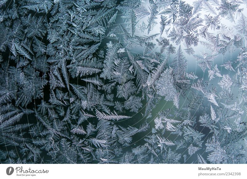 Ice patterns on winter Beautiful Winter Snow Christmas & Advent Nature Climate Weather Fresh Bright Natural New Blue Frost Frozen window glass ice Consistency