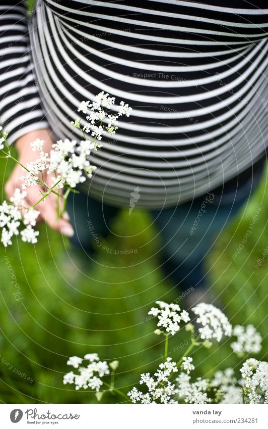 stripes make slim Human being Feminine Young woman Youth (Young adults) Woman Adults Mother Family & Relations Stomach 1 Flower Meadow Fat Happy Beautiful