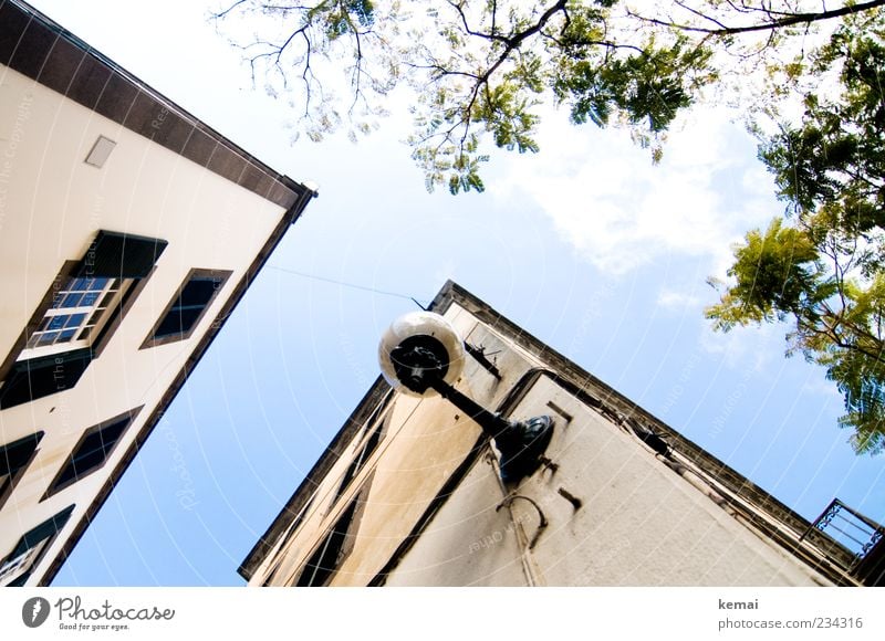 Top Plant Sky Summer Old town House (Residential Structure) Detached house Manmade structures Building Wall (barrier) Wall (building) Facade Balcony Window Lamp