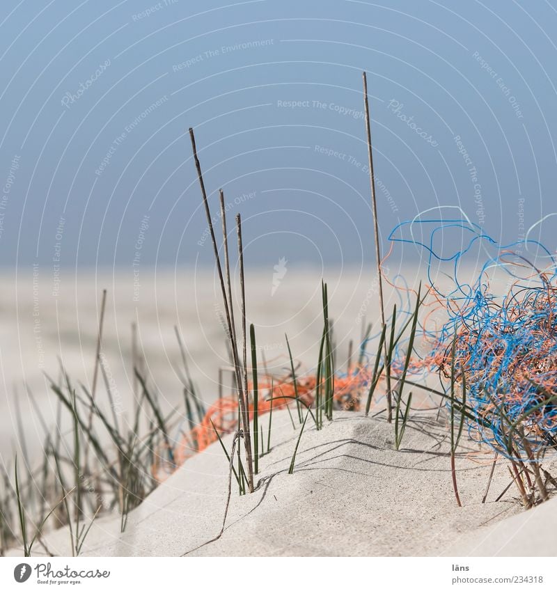 Spiekeroog Beachcombing. Environment Nature Landscape Plant Coast Sand Environmental pollution Beach dune Marram grass Horizon Flotsam and jetsam Sky Blue sky