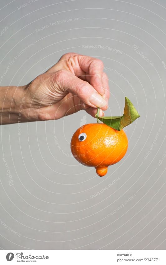 Portrait of orange with eyes Food Fruit Orange Nutrition Eating Organic produce Vegetarian diet Juice Lifestyle Joy Beautiful Healthy Health care Wellness Hand