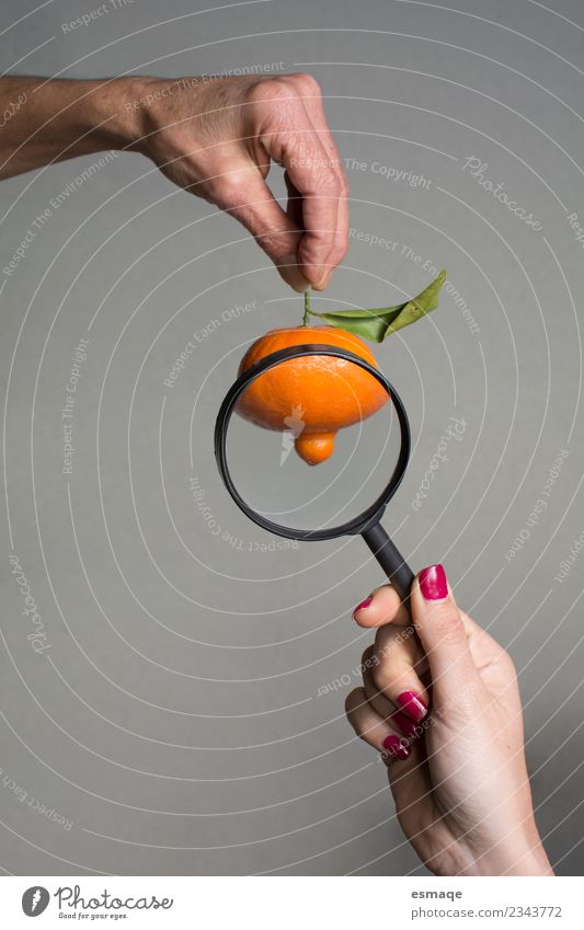 Tangerine observed with magnifying glass Food Fruit Orange Nutrition Eating Organic produce Vegetarian diet Diet Magnifying glass Magnifying effect Observe