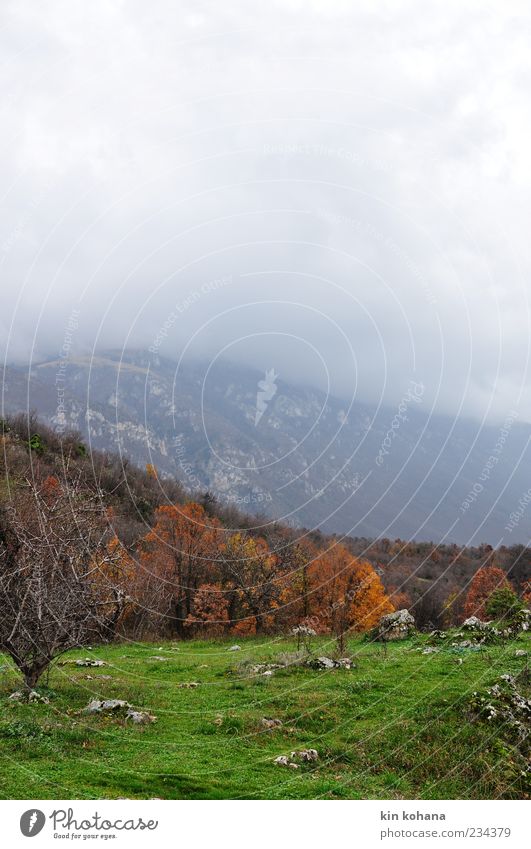 autumn Landscape Mountain Sadness Autumn Automn wood Storm clouds Colour photo Deserted Haze Fog Autumnal Copy Space top Valley Tree Meadow Autumnal colours