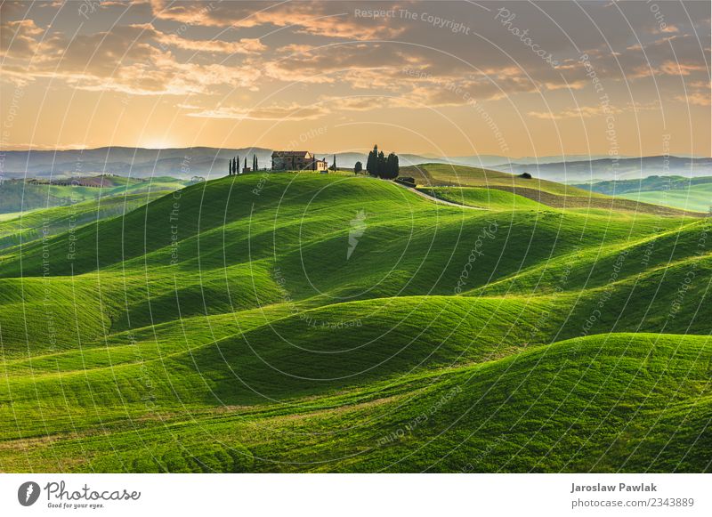 Spring in the fields of Tuscany in the sunset Beautiful Summer House (Residential Structure) Nature Landscape Plant Sky Clouds Tree Grass Park Meadow Hill Blue