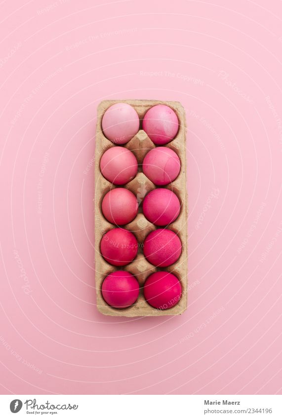 Pink eggs in egg box Egg Design Easter Eating Esthetic Beautiful Orderliness Colour Inspiration Creativity Art Arrangement Color gradient Easter egg Dyeing