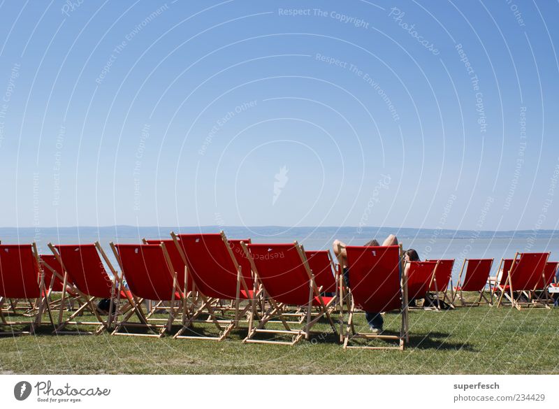 Place in the sun Harmonious Well-being Relaxation Summer Summer vacation Sun Sunbathing Cloudless sky Beautiful weather Lakeside Beach Lake Neusiedl Sit Hot