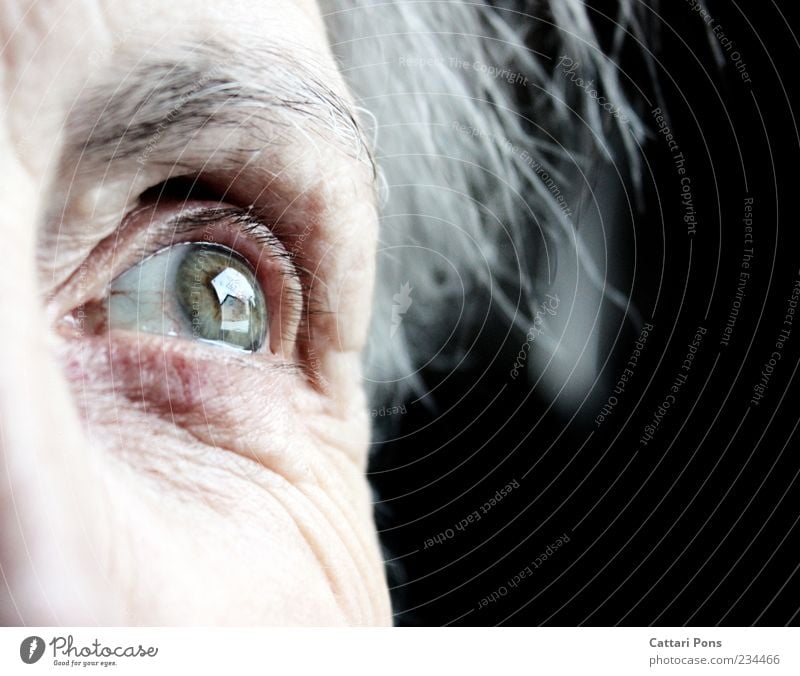 You always stay in your heart! Female senior Woman Senior citizen Eyes 1 Human being Gray-haired White-haired Think Looking Old Infinity Near Green Remember