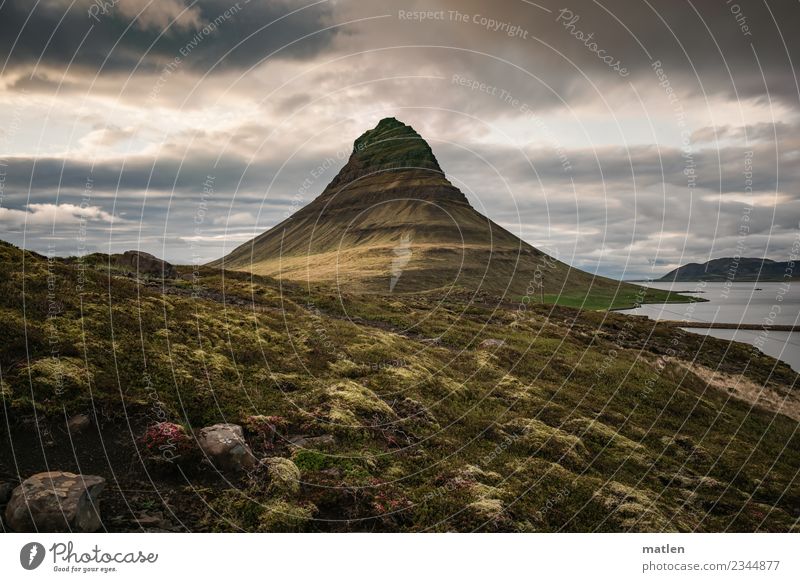 Icelandic Spring Landscape Plant Sky Clouds Horizon Sunrise Sunset Beautiful weather Grass Moss Meadow Rock Peak Coast Fjord Ocean Famousness Dark Sharp-edged