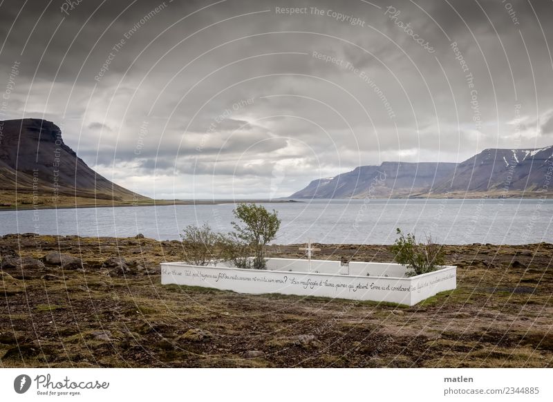 resting place Environment Nature Landscape Plant Sky Clouds Horizon Spring Weather Wind Tree Grass Rock Mountain Snowcapped peak Coast Fjord Ocean Deserted