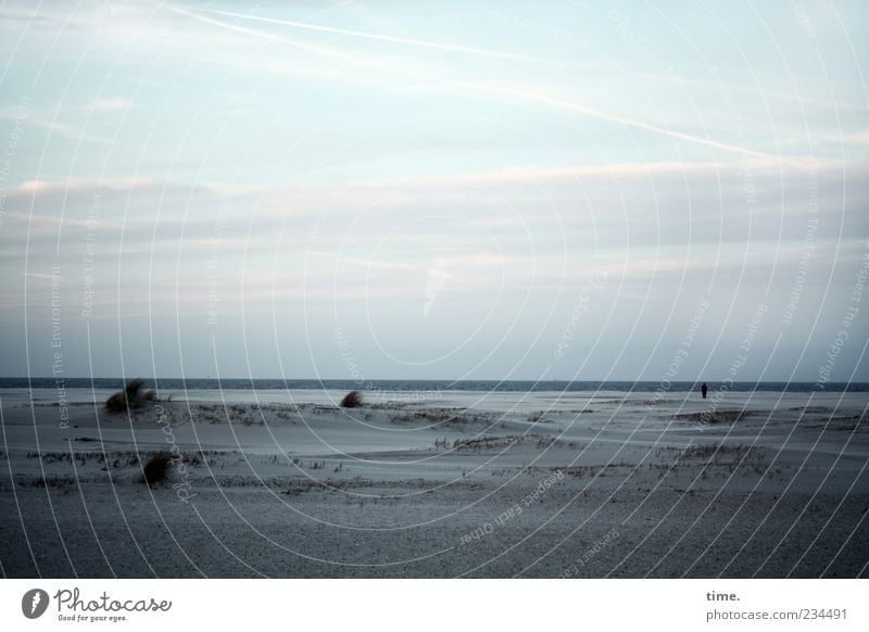 Spiekeroog Blue Hour. Calm Beach Ocean Human being 1 Water Sky Clouds Horizon Coast North Sea Breathe Dark Creepy Loneliness Mud flats Dune Beach dune