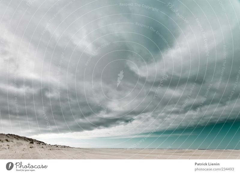 Spiekeroog run away Ocean Environment Nature Landscape Elements Sand Air Sky Clouds Storm clouds Climate Climate change Weather Bad weather Wind Gale Coast