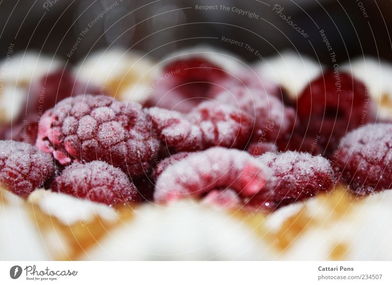 raspberry pie Food Cake Dessert Gateau Fruit flan Cold Raspberry Near Deep frozen Red Fresh Sweet Cream gateau Colour photo Interior shot Frozen Deserted