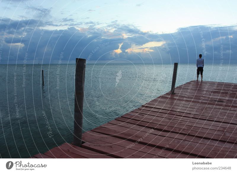 front, middle, rear Nature Landscape Water Waves Coast Bay Island Moody Exterior shot Copy Space top Evening Shadow Silhouette Long shot Looking away