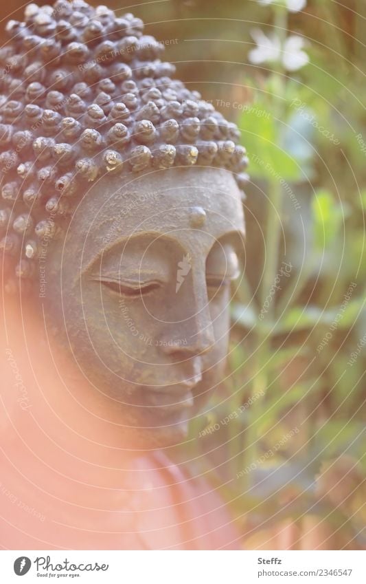 Buddha statue in the garden Buddha figure Meditation Statue of Buddha Harmonious meditate Zen Yoga Attentive Wisdom Buddhism harmony meditative Belief Peaceful