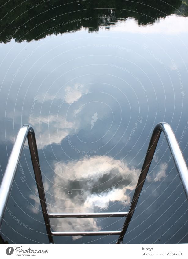 Bathing weather ? Water Sky Clouds Sunlight Reflection Surface of water Ladder Swimming lake Pool ladder Colour photo Exterior shot Day Bird's-eye view