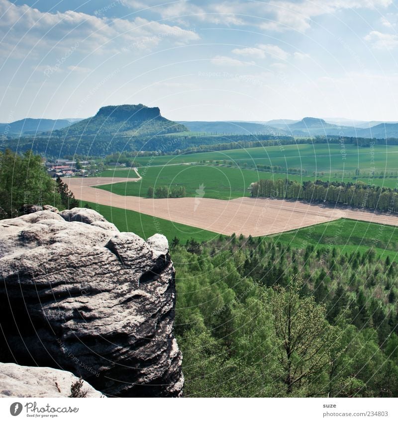 Ausgugg Far-off places Freedom Mountain Environment Nature Landscape Sky Cloudless sky Climate Tree Forest Rock Exceptional Green Elbsandstone mountains