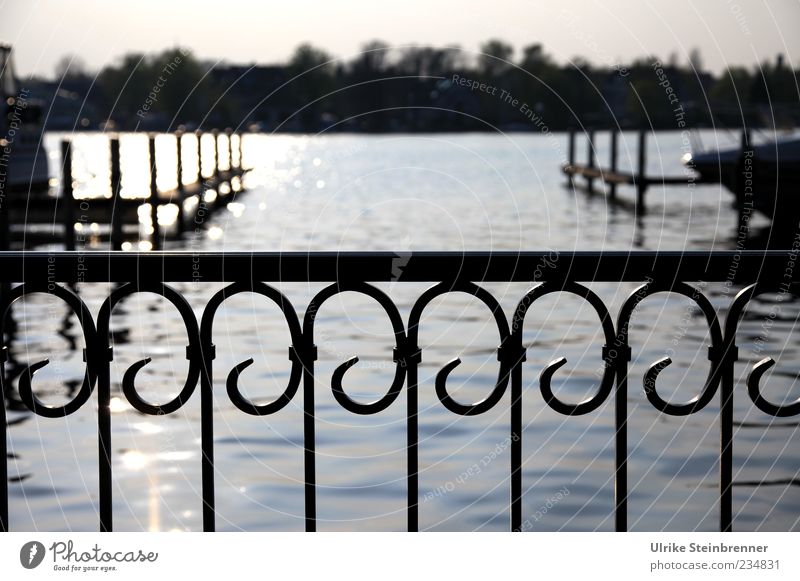 finale Yacht harbour Nature Water Coast Lakeside River bank Berlin Capital city Outskirts Deserted Harbour Terrace Ornament To swing Grating Wrought iron Fence